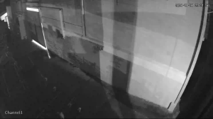 Caméra IP - Malaisie