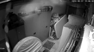 Caméra IP - Regno Unito