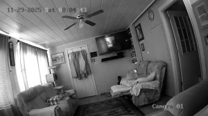 Caméra IP - États-Unis d'Amérique