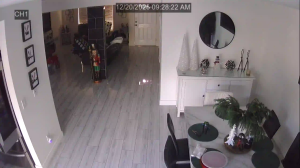 Caméra IP - Stati Uniti d'America