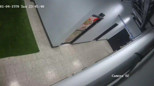 Caméra IP - Honduras