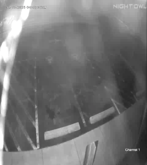 Caméra IP - Vereinigte Staaten von Amerika