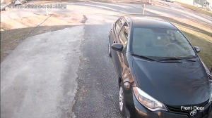 Caméra IP - United States of America