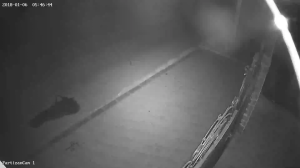 Caméra IP - Ucrania