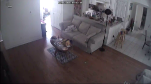 Caméra IP - États-Unis d'Amérique