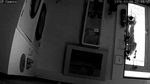 Caméra IP - Pays-Bas