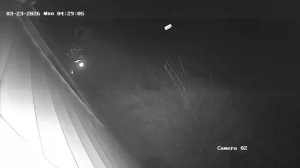 Caméra IP - United States of America