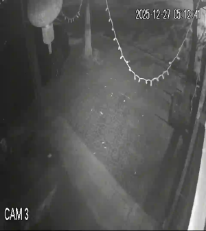 Caméra IP - Vietnam