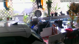 Caméra IP - Guadeloupe