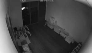 Caméra IP - États-Unis d'Amérique