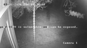 Caméra IP - Denmark