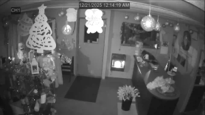 Caméra IP - Stati Uniti d'America