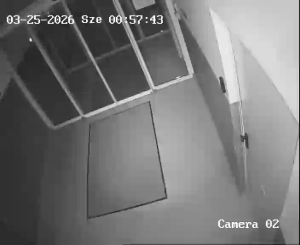 Caméra IP - Hungary