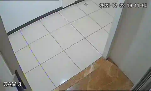 Caméra IP - Singapur