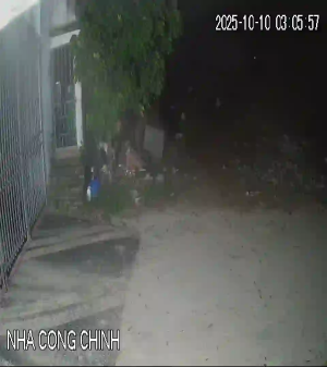 Caméra IP - Vietnam