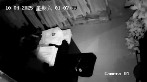 Caméra IP - Cina