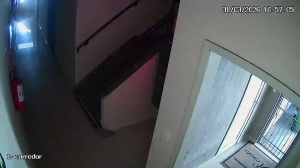 Caméra IP - Brasilien