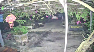 Caméra IP - Vietnam