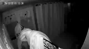 Caméra IP - Francia