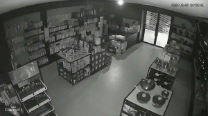 Caméra IP - Malaysia
