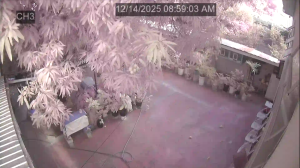 Caméra IP - Barbados