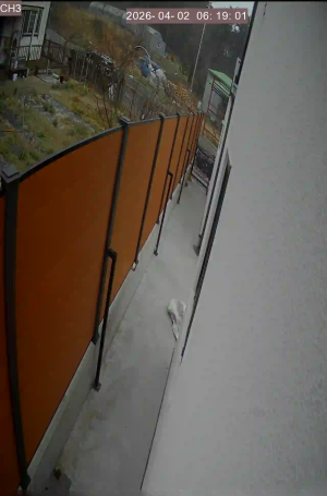 Caméra IP - Corée du Sud