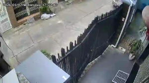 Caméra IP - Vietnam