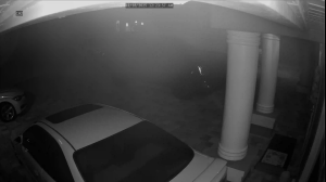 Caméra IP - États-Unis d'Amérique