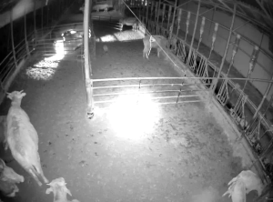 Caméra IP - South Korea