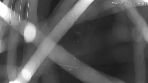 Caméra IP - South Korea