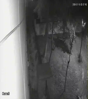 Caméra IP - Türkiye