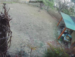 Caméra IP - Corée du Sud