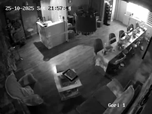 Caméra IP - Georgia