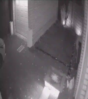 Caméra IP - Paesi Bassi