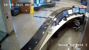 Caméra IP - Stati Uniti d'America