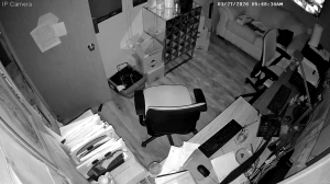 Caméra IP - Vereinigte Staaten von Amerika