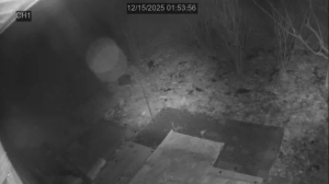 Caméra IP - South Korea