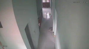 Caméra IP - Vietnam