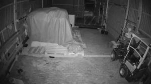 Caméra IP - Germany