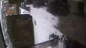 Caméra IP - Germany