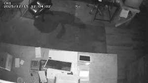 Caméra IP - United States of America