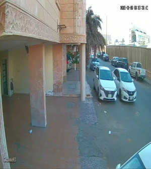 Caméra IP - Saudi Arabia