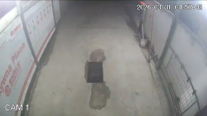 Caméra IP - Polonia