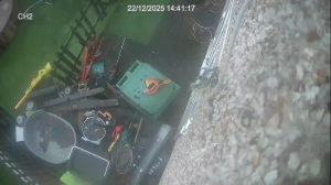 Caméra IP - Reino Unido