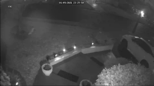 Caméra IP - États-Unis d'Amérique