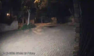 Caméra IP - Südafrika