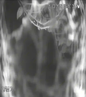 Caméra IP - Guatemala