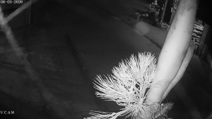 Caméra IP - Vietnam