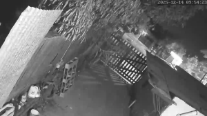 Caméra IP - Argentine