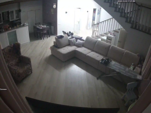 Caméra IP - Russian Federation